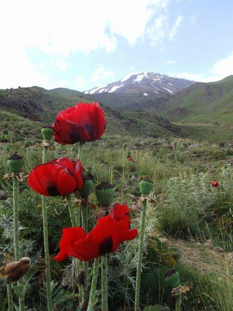Damavand