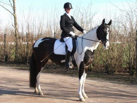 ...my sister back in NL