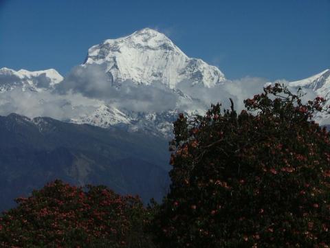 Dhaulagiri 8167m