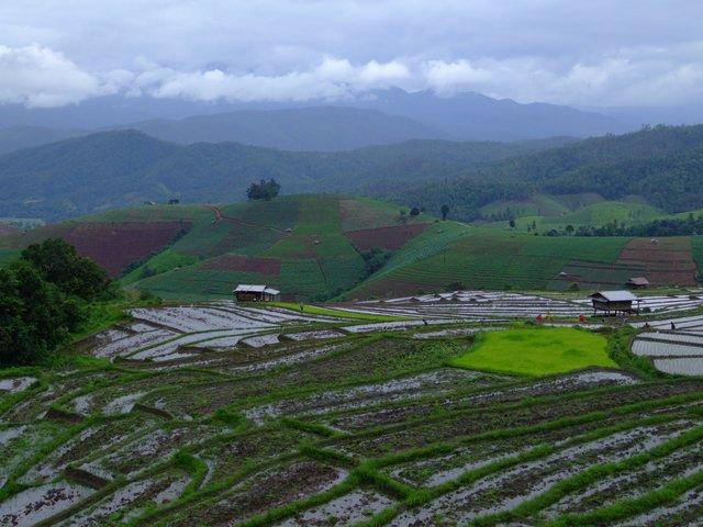 good morning Thailand