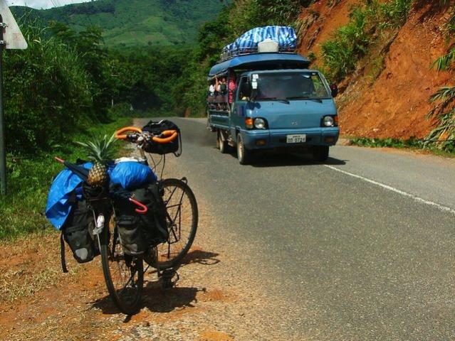 found a pine apple! just on the road, how lucky!