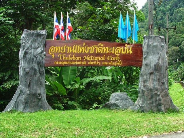 I thought that a funny name..