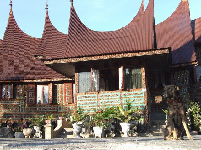 dog and the Kings house