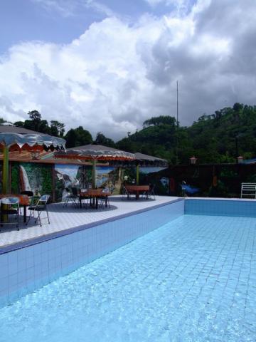 my pool at the coffee plantation