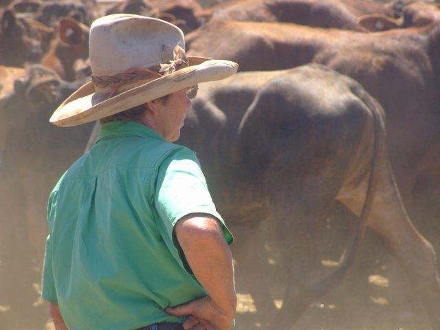 Anne at Yarrie station