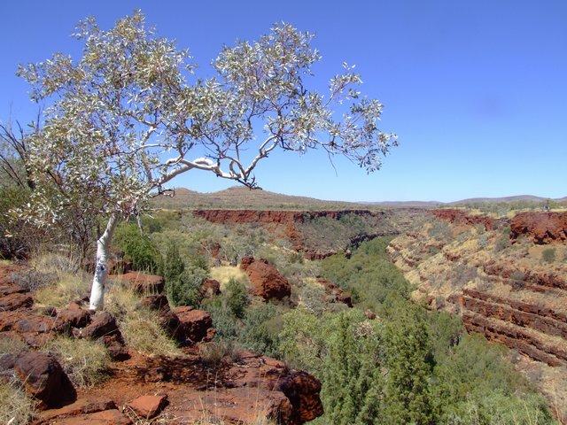 Karinjini national park