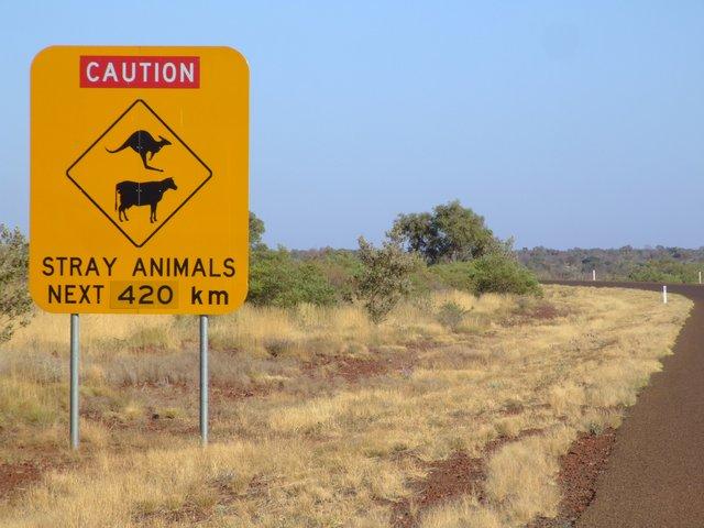 some long roads 'round here