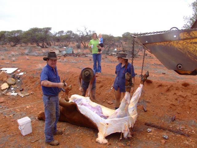 the one that attacked