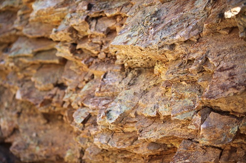 full of gold... apparently