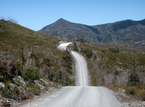 a little up a little down