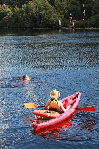 Swimming accross the Pieman