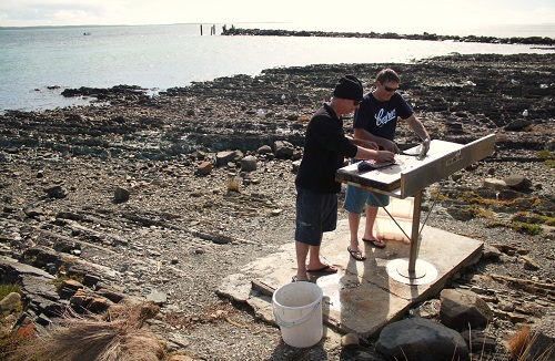 they gave us fresh fish