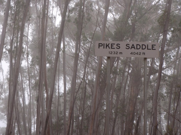 Pikes Saddle