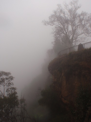 mist in the blue mountains
