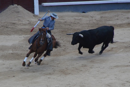 Bullfight