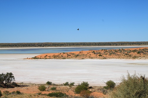 arriving at another saltlake