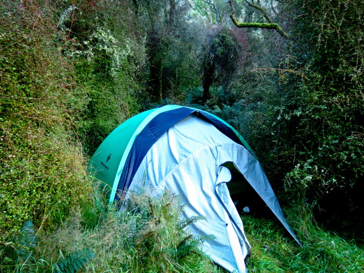 Tent