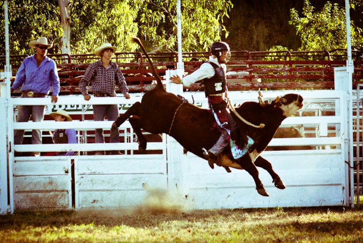 Bull ride