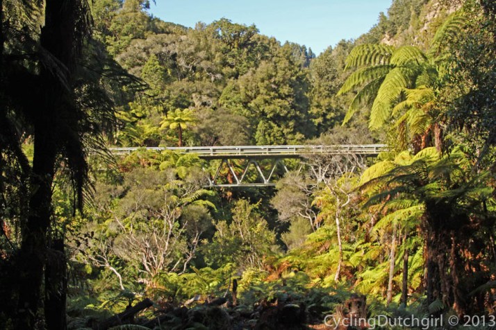 Forgotten World Highway