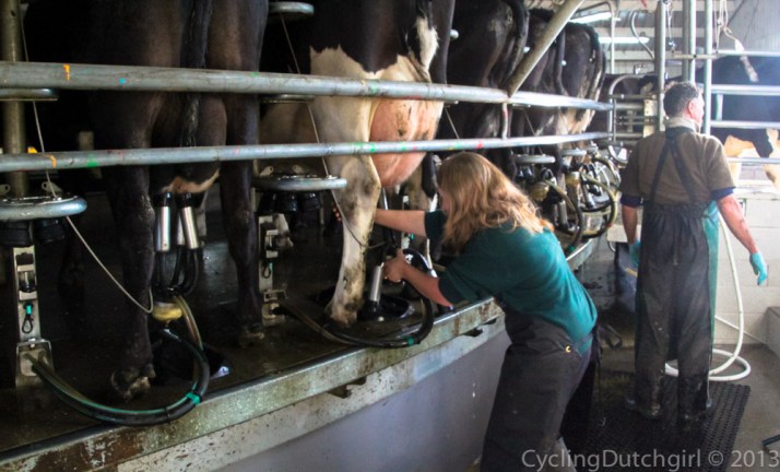 Me milking