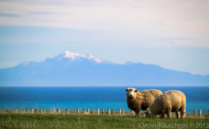 There's the South Island!