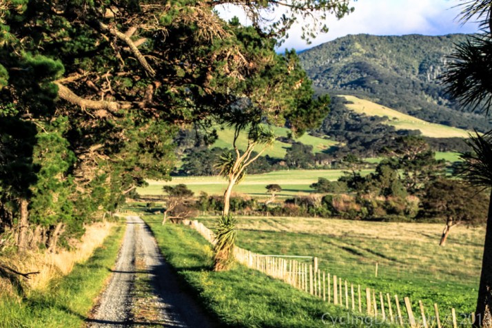 another glorious morning