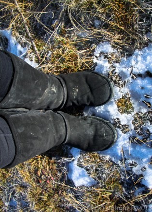 Gotta love 'em Boots