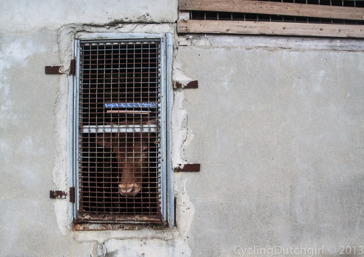 ruling along rural lands