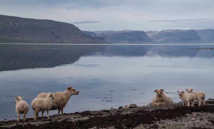 chilling on the beach