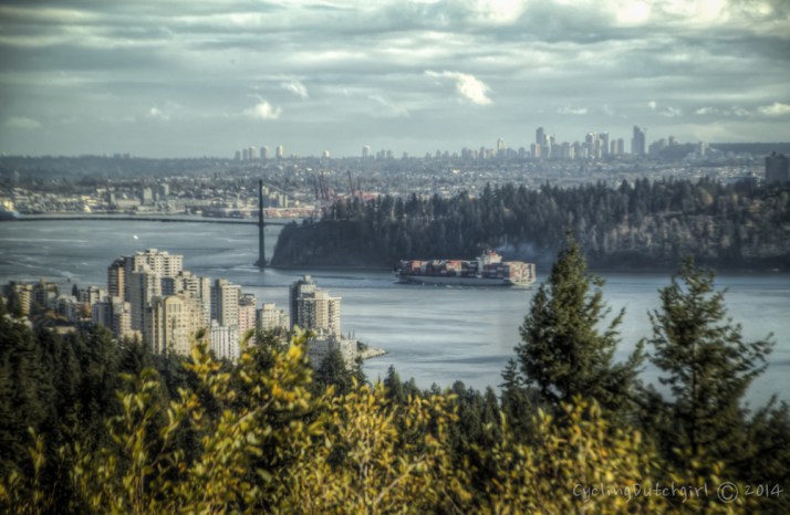 View from the window