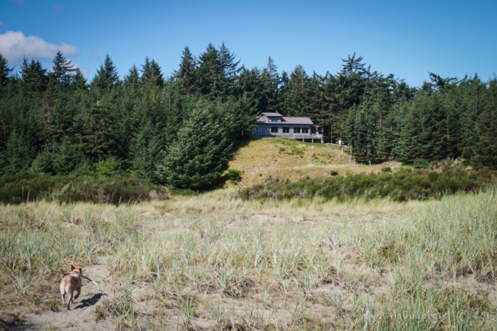 The House in the Dunes