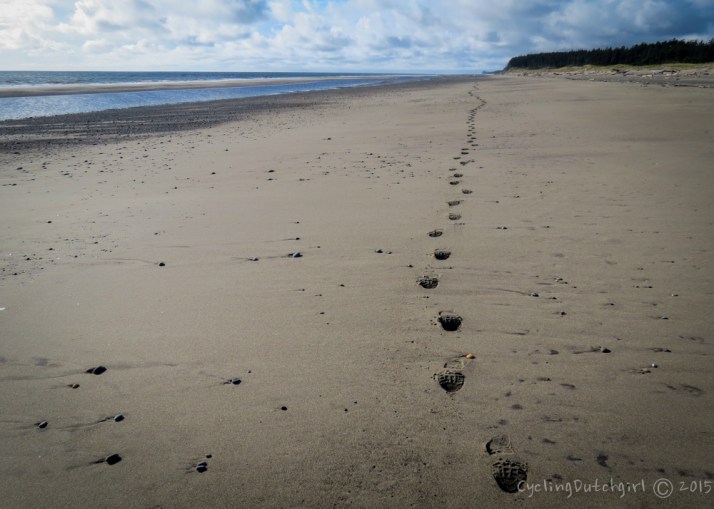 a long walk on the beach
