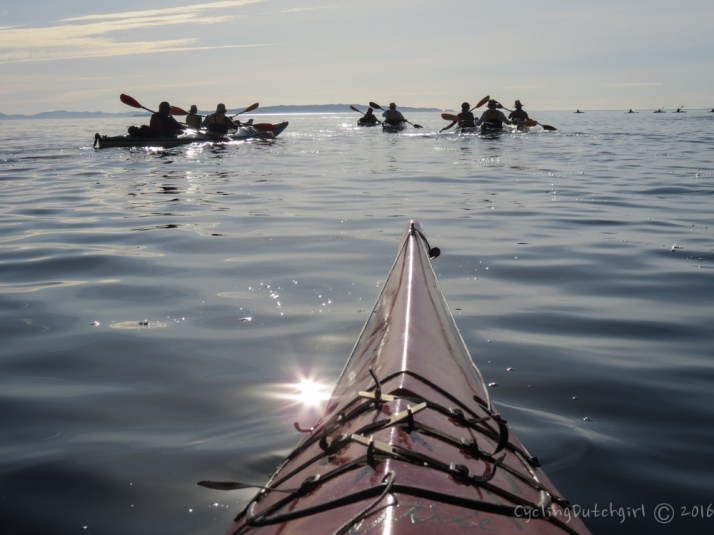 just a different perspective.