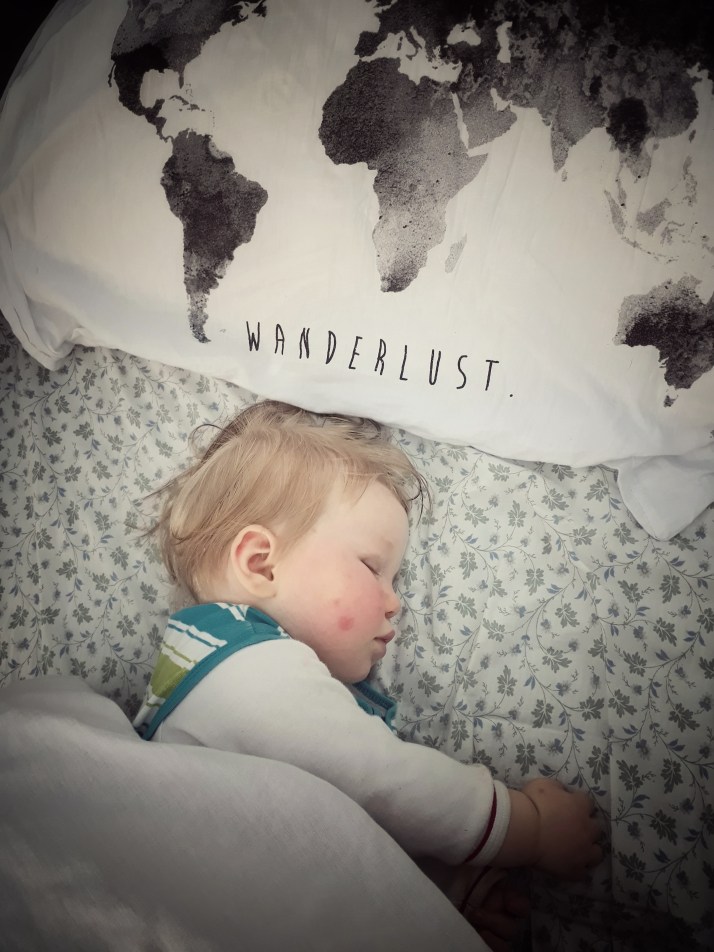 dreaming up adventures